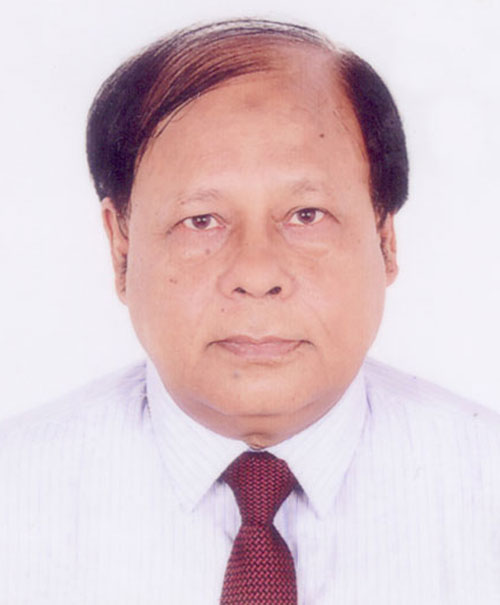 Prof. Dr. AKM Saiful Majid